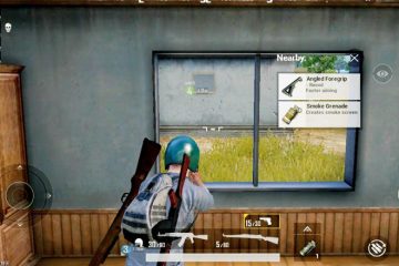 PUBG-guide-story_d