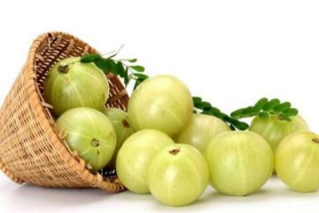 amla