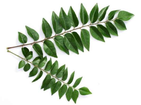 curry_leaves