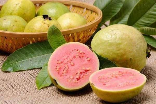 guava